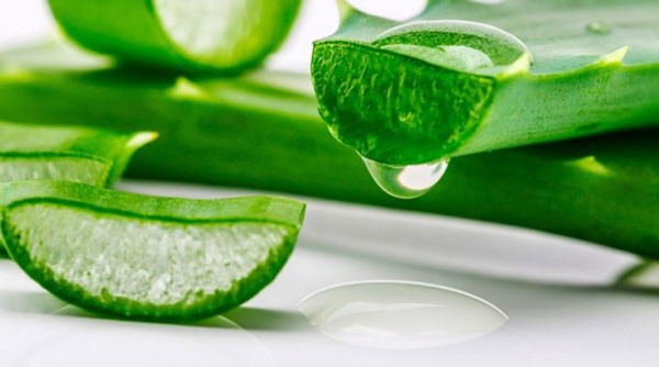 خواص آلوئه ورا برای پوست